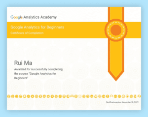 Google Ads Certificate